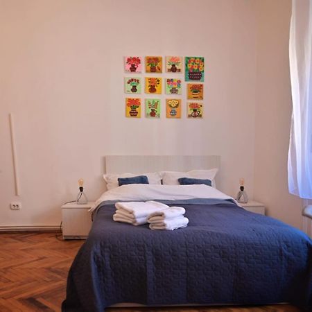 Travel And Music Apartment Temeşvar Dış mekan fotoğraf